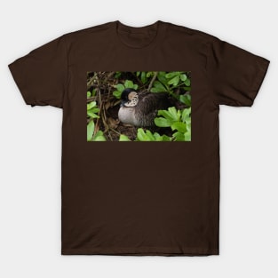 Closeup of a resting Nene goose, Kauai, Hawaii T-Shirt